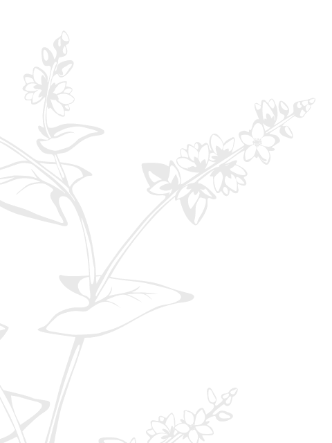 deco